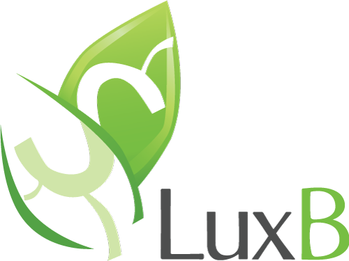 Lux Bookkeeping Logo